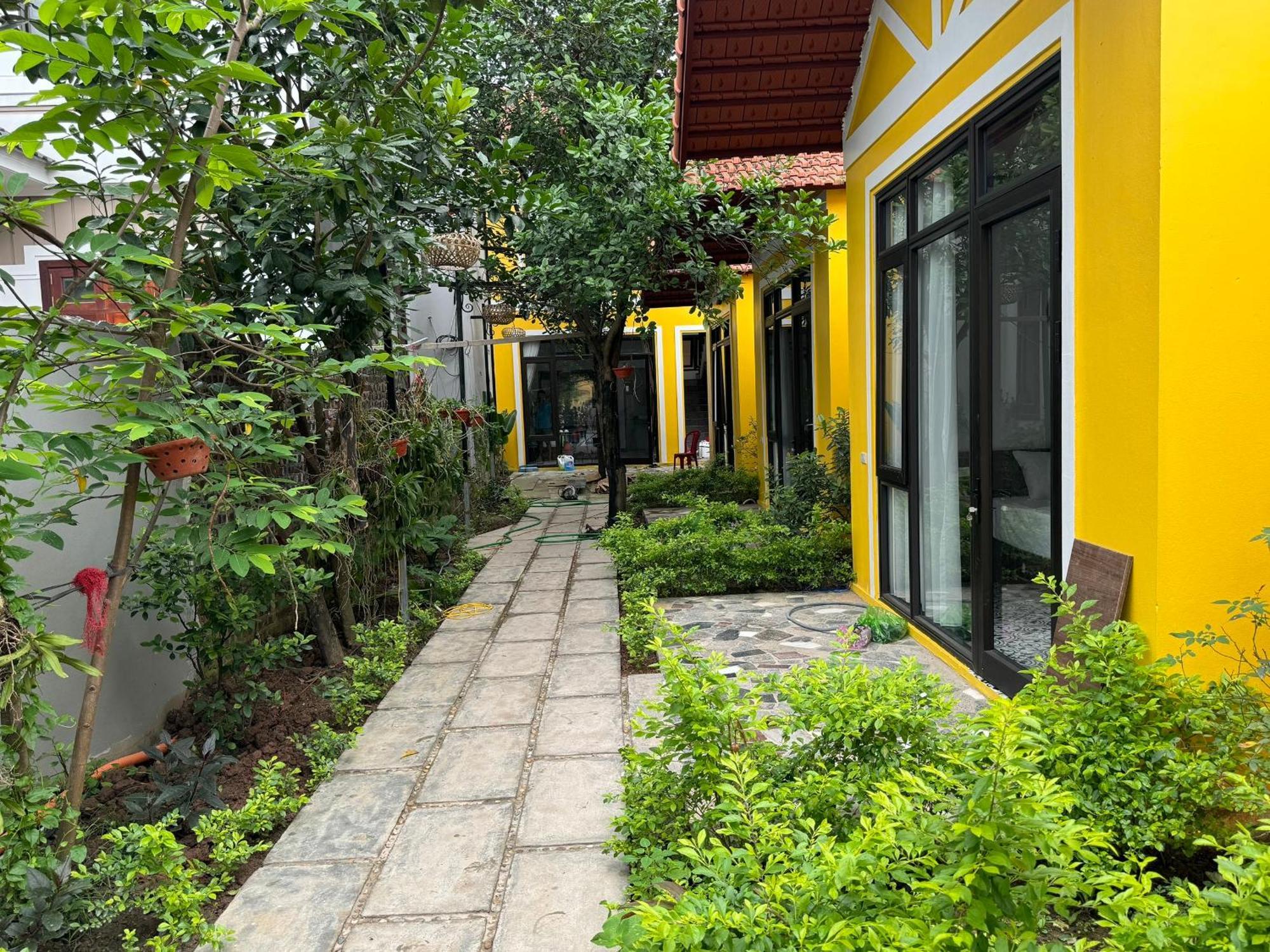 Azalea Tam Coc Ninh Binh Konuk evi Dış mekan fotoğraf