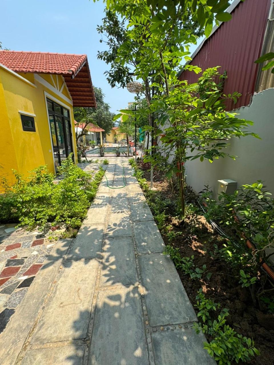 Azalea Tam Coc Ninh Binh Konuk evi Dış mekan fotoğraf